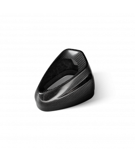 S/M1000Rr 19-26 Carbon Oem End Cap