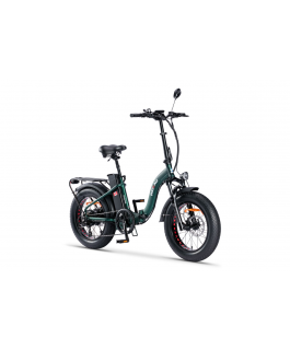 Rideau Plus-Green