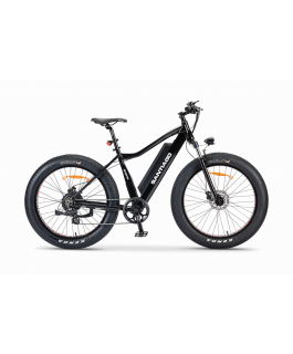 Santiago Fat Tire- Black