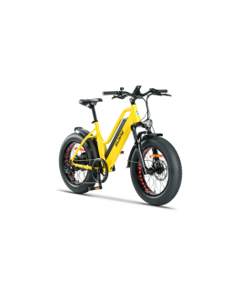 Santiago Fat Mini 20 - Yellow