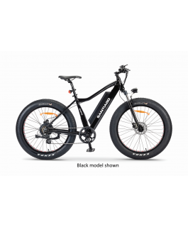 Santiago Fat Tire Orange