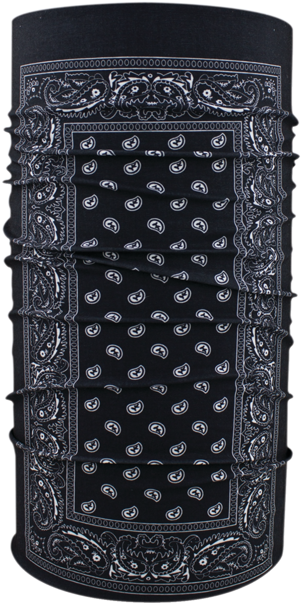 Motley Black Paisley