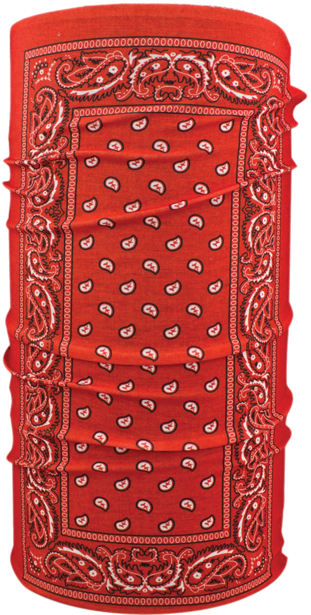 Motley Red Paisley